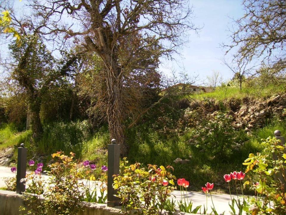 Brizuela Casa Rural Fuentetrigo מראה חיצוני תמונה